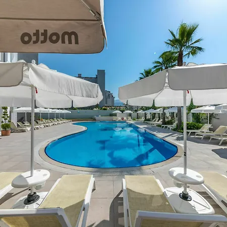 Motto Premium مرمريس